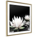 Poster Lotus Flowers - summer composition with white petals and leaves in a zen style 121887 additionalThumb 8