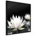 Poster Lotus Flowers - summer composition with white petals and leaves in a zen style 121887 additionalThumb 10