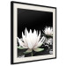 Poster Lotus Flowers - summer composition with white petals and leaves in a zen style 121887 additionalThumb 3