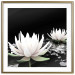 Poster Lotus Flowers - summer composition with white petals and leaves in a zen style 121887 additionalThumb 16