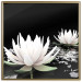 Poster Lotus Flowers - summer composition with white petals and leaves in a zen style 121887 additionalThumb 20