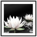 Poster Lotus Flowers - summer composition with white petals and leaves in a zen style 121887 additionalThumb 15