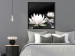 Poster Lotus Flowers - summer composition with white petals and leaves in a zen style 121887 additionalThumb 5