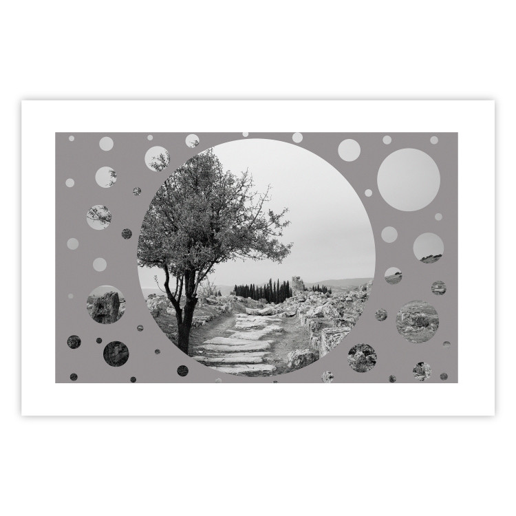 Poster Hierapolis - black and white landscape of trees in circular frame 123987 additionalImage 25