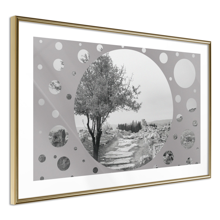 Poster Hierapolis - black and white landscape of trees in circular frame 123987 additionalImage 6