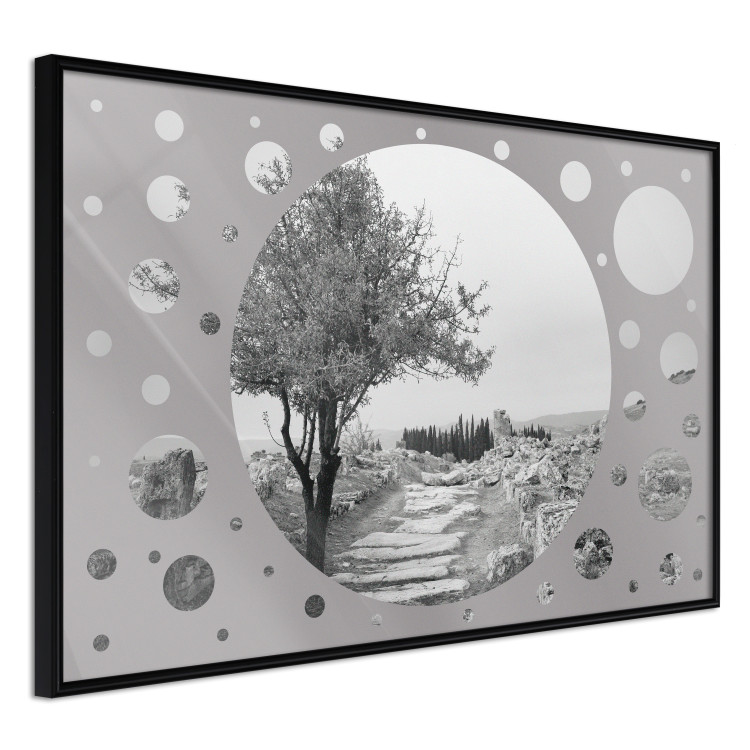 Poster Hierapolis - black and white landscape of trees in circular frame 123987 additionalImage 10