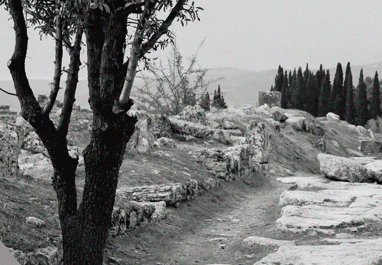Poster Hierapolis - black and white landscape of trees in circular frame 123987 additionalImage 9