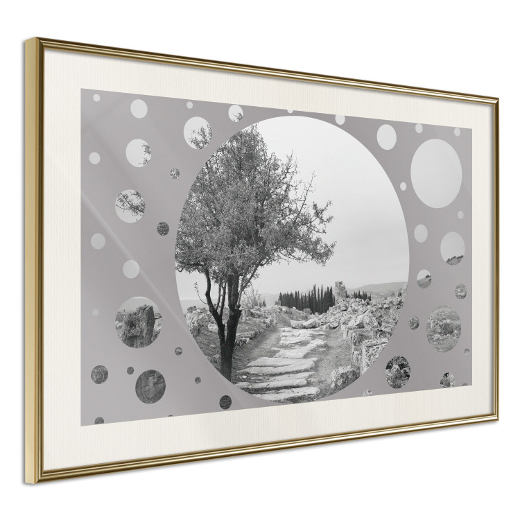 Poster Hierapolis - black and white landscape of trees in circular frame 123987 additionalImage 2