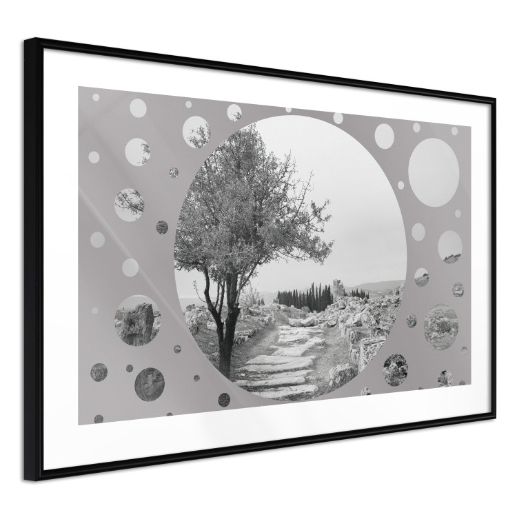 Poster Hierapolis - black and white landscape of trees in circular frame 123987 additionalImage 13