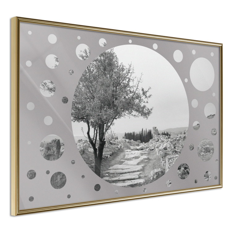 Poster Hierapolis - black and white landscape of trees in circular frame 123987 additionalImage 12
