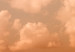 Poster Cloud Arrangement - landscape of orange sky with construction crane 124387 additionalThumb 8