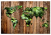 Large canvas print Jungle of the World [Large Format] 125687