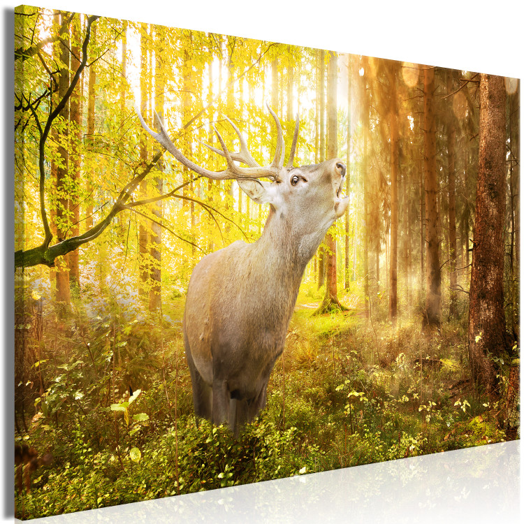 Large canvas print Roar in the Forest [Large Format] 128687 additionalImage 2