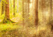 Large canvas print Roar in the Forest [Large Format] 128687 additionalThumb 3