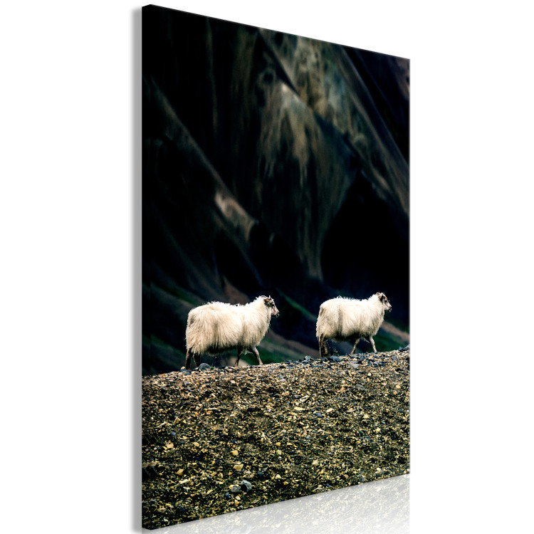 Canvas Print Follow Me! (1-piece) Vertical - photograph of two white animals 130287 additionalImage 2