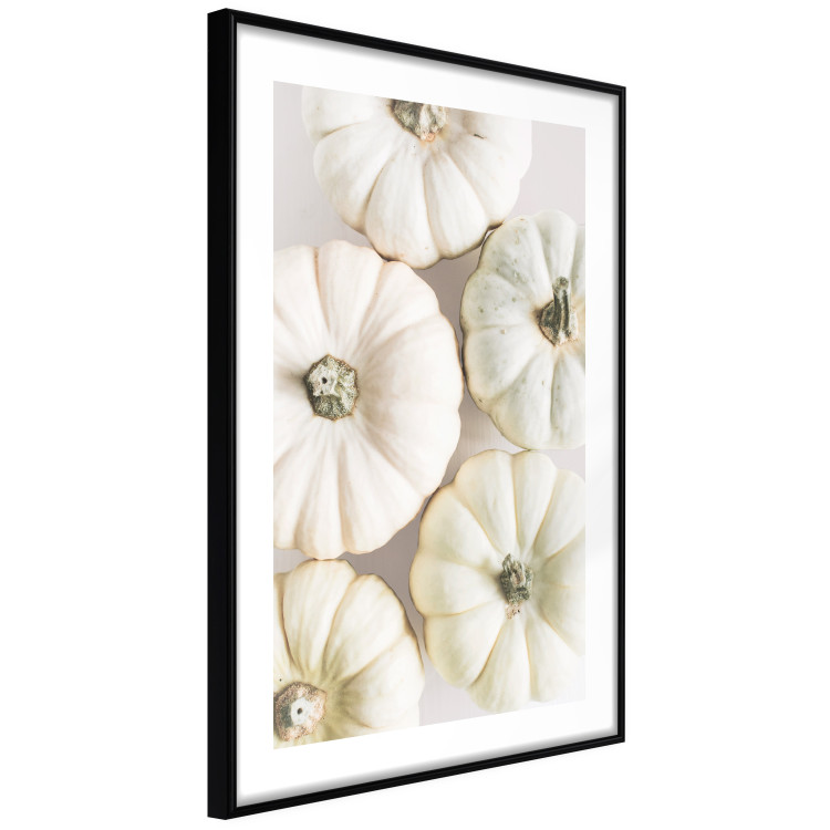 Wall Poster Pumpkin Time - a composition of autumn vegetables on a uniform white background 130787 additionalImage 6