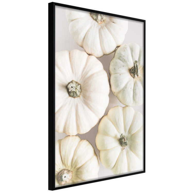 Wall Poster Pumpkin Time - a composition of autumn vegetables on a uniform white background 130787 additionalImage 11