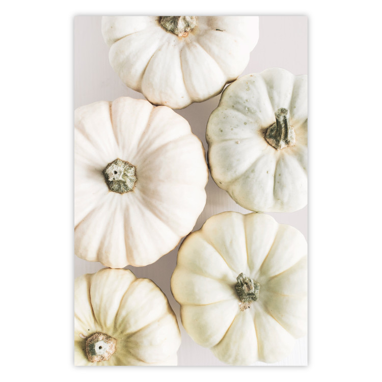 Wall Poster Pumpkin Time - a composition of autumn vegetables on a uniform white background 130787