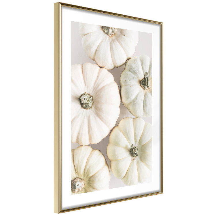 Wall Poster Pumpkin Time - a composition of autumn vegetables on a uniform white background 130787 additionalImage 9