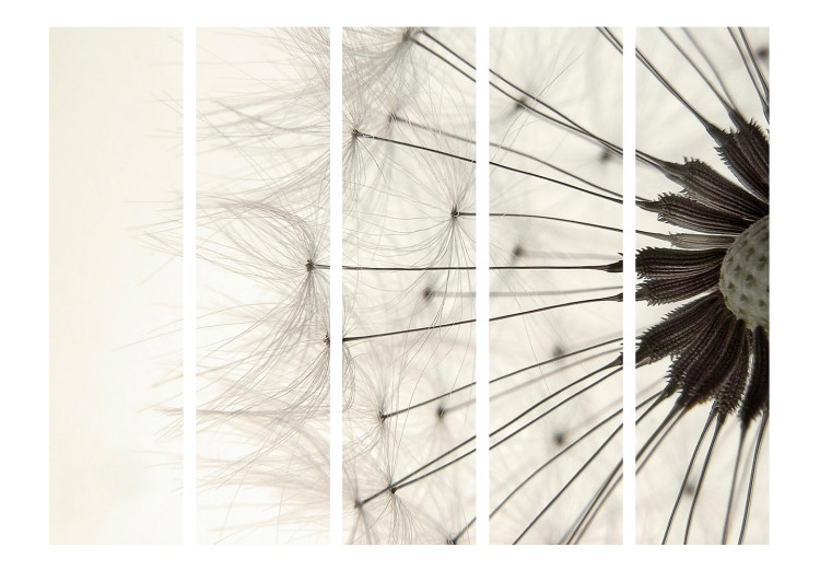 Folding Screen Close-up Dandelion II (5-piece) - black and white background with a flower 132787 additionalImage 3