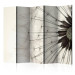 Folding Screen Close-up Dandelion II (5-piece) - black and white background with a flower 132787
