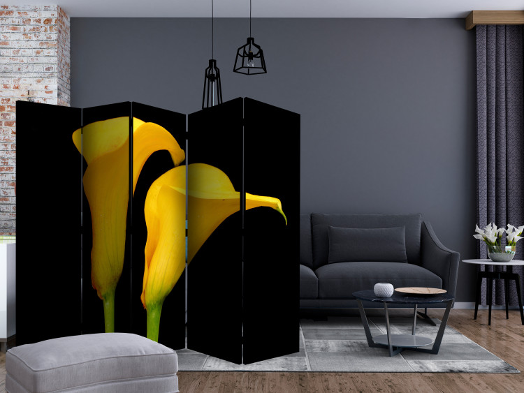 Folding Screen Two Yellow Callas on Black Background II (5-piece) - flower composition 132887 additionalImage 4