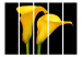 Folding Screen Two Yellow Callas on Black Background II (5-piece) - flower composition 132887 additionalThumb 3