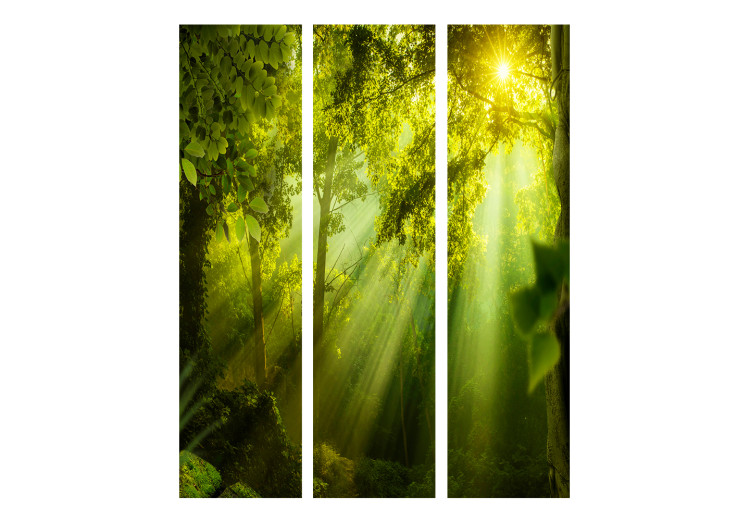 Room Separator In the Mysterious Forest II - green forest composition in sunny light 134087 additionalImage 3