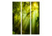 Room Separator In the Mysterious Forest II - green forest composition in sunny light 134087 additionalThumb 3