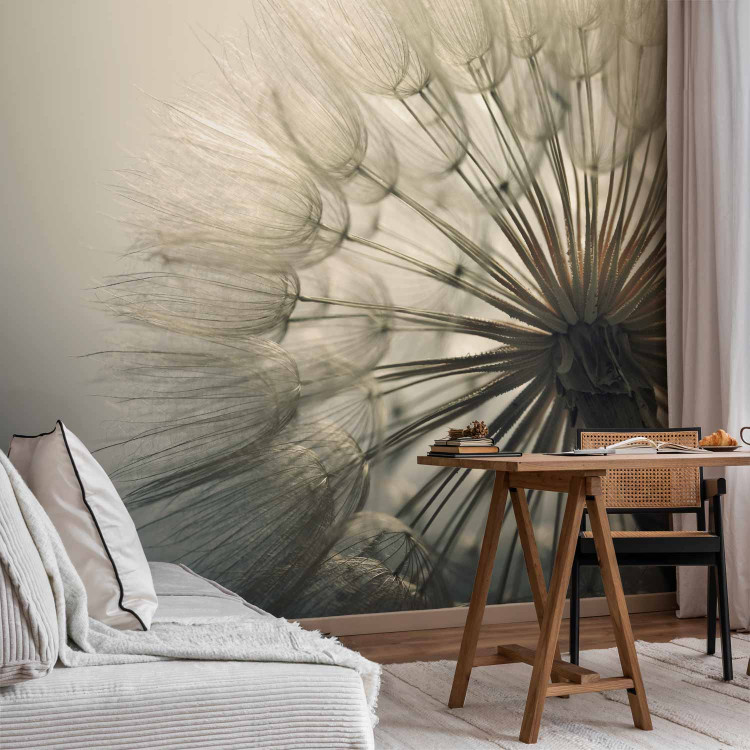 Photo Wallpaper Plant motif - dandelion flower approximation in cool tones 134887 additionalImage 4