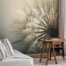Photo Wallpaper Plant motif - dandelion flower approximation in cool tones 134887 additionalThumb 4
