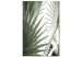 Canvas Plant needles - image of sharp exotic plants in cold green 135287