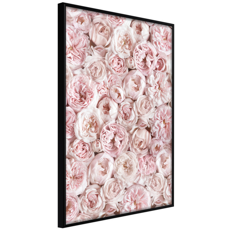 Poster Garden Flowers - composition of pink flowers in a romantic motif 135587 additionalImage 13
