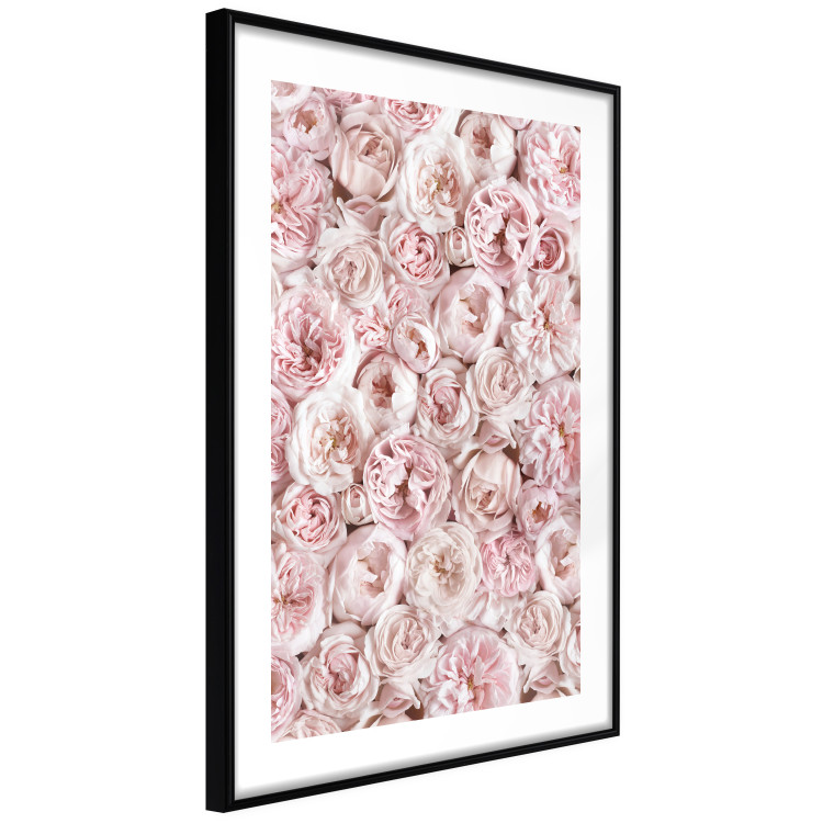 Poster Garden Flowers - composition of pink flowers in a romantic motif 135587 additionalImage 11