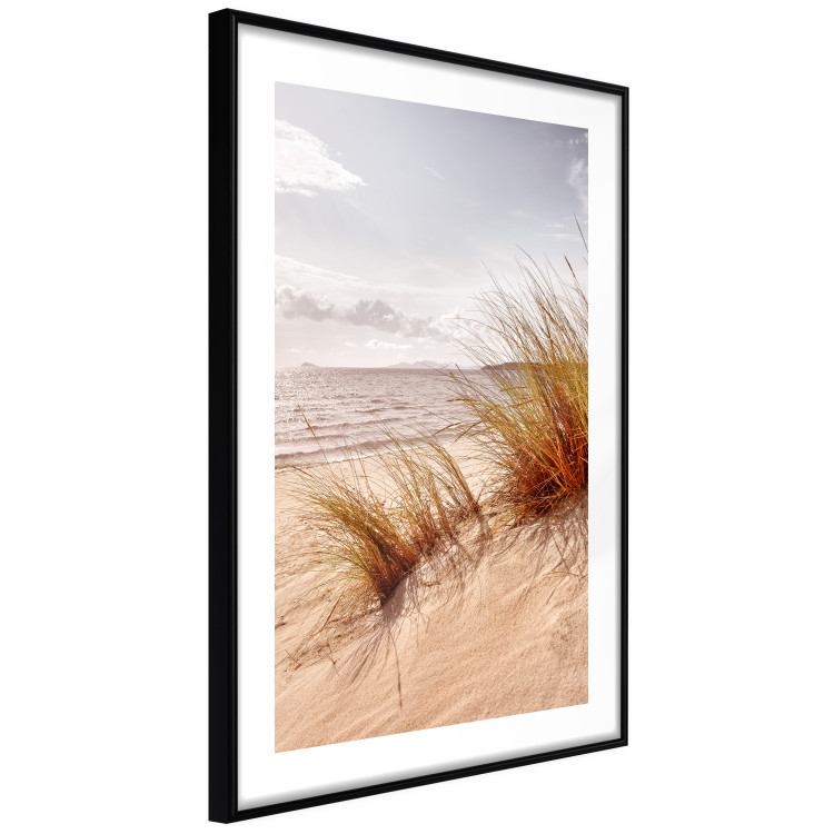 Wall Poster Afternoon Wind - seascape and sandy beach in summer 135887 additionalImage 4