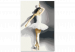 Paint by Number Kit Ballerina’s Shadow 143287 additionalThumb 4