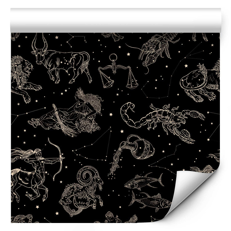 Modern Wallpaper Zodiac Signs - Decorative Symbols on the Background of the Night Sky 146387 additionalImage 1