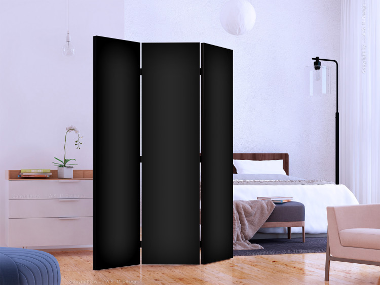 Room Separator Solid Black [Room Dividers] 150787 additionalImage 2