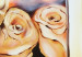 Canvas Melancholic Roses (1-piece) - nature motif with framed flowers 46887 additionalThumb 3