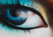 Canvas Art Print Blue eyes 49187 additionalThumb 2