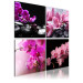 Canvas Orchids more beautiful than ever 58687 additionalThumb 2