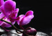 Canvas Orchids more beautiful than ever 58687 additionalThumb 5
