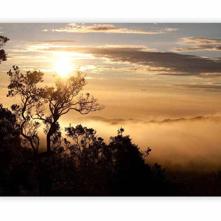Wall Mural Sky and Trees - Landscape of a Tropical Forest in Mist at Sunset 60487 additionalImage 1