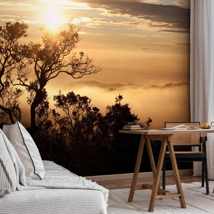 Wall Mural Sky and Trees - Landscape of a Tropical Forest in Mist at Sunset 60487 additionalImage 4