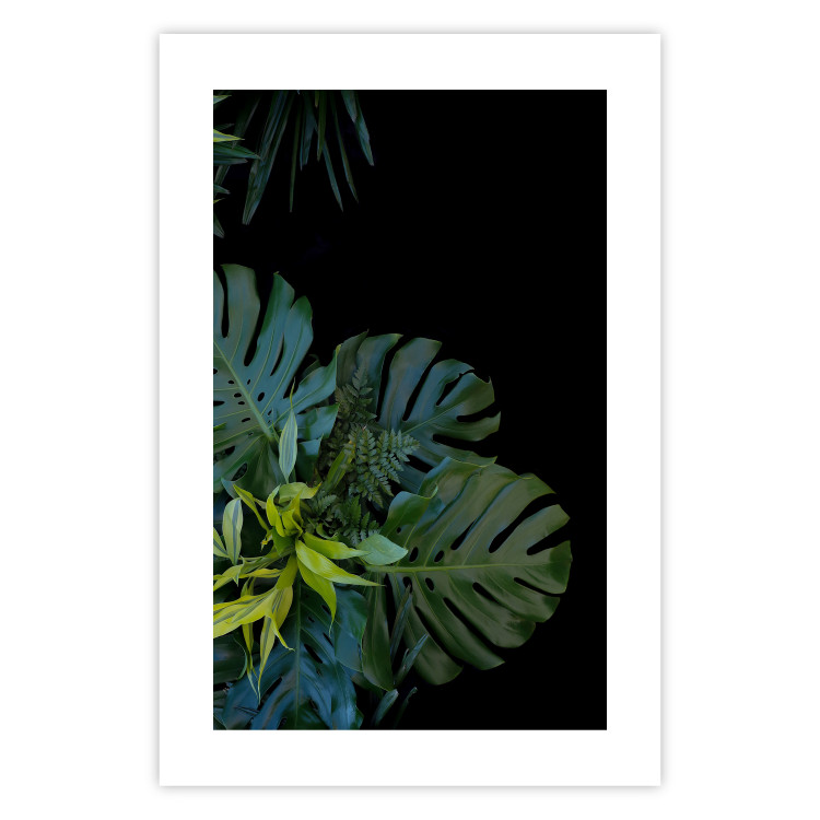 Wall Poster Monstera - Botanical composition of tropical leaves on a black background 114197 additionalImage 18