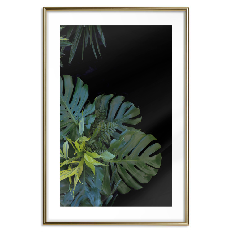 Wall Poster Monstera - Botanical composition of tropical leaves on a black background 114197 additionalImage 18