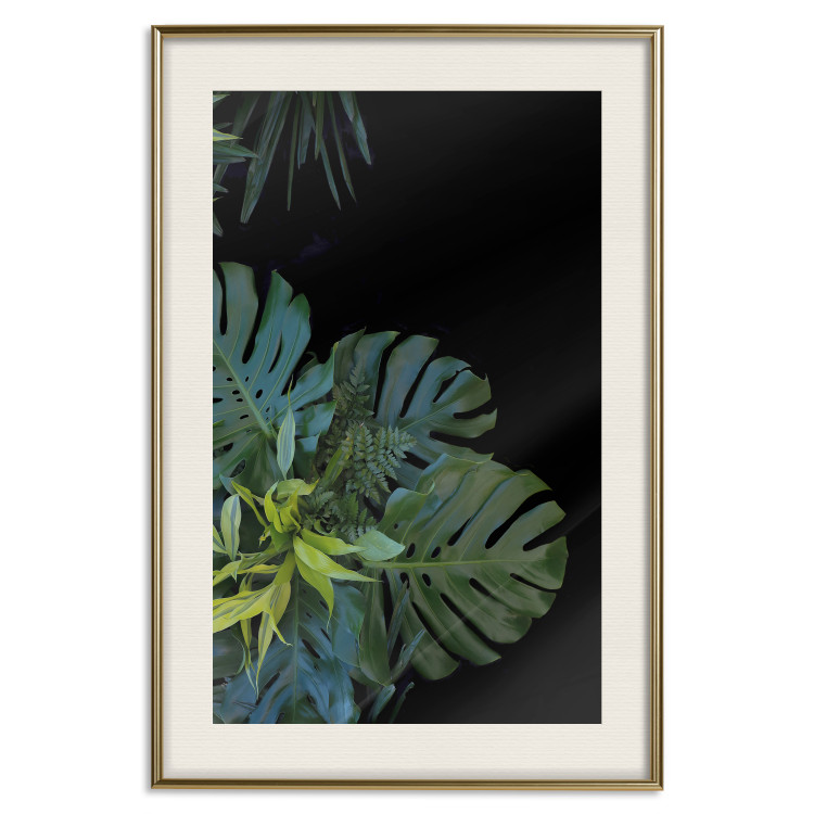 Wall Poster Monstera - Botanical composition of tropical leaves on a black background 114197 additionalImage 27