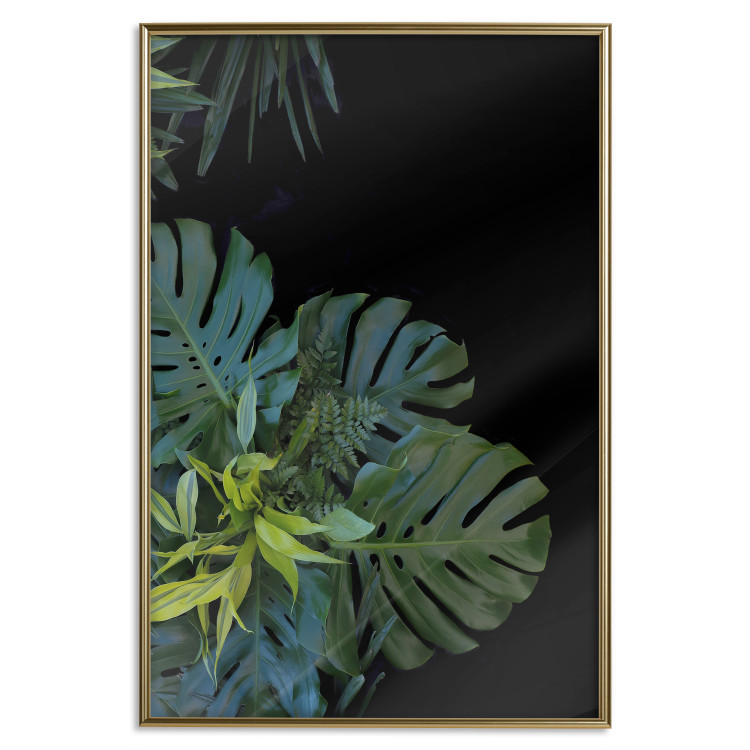 Wall Poster Monstera - Botanical composition of tropical leaves on a black background 114197 additionalImage 17