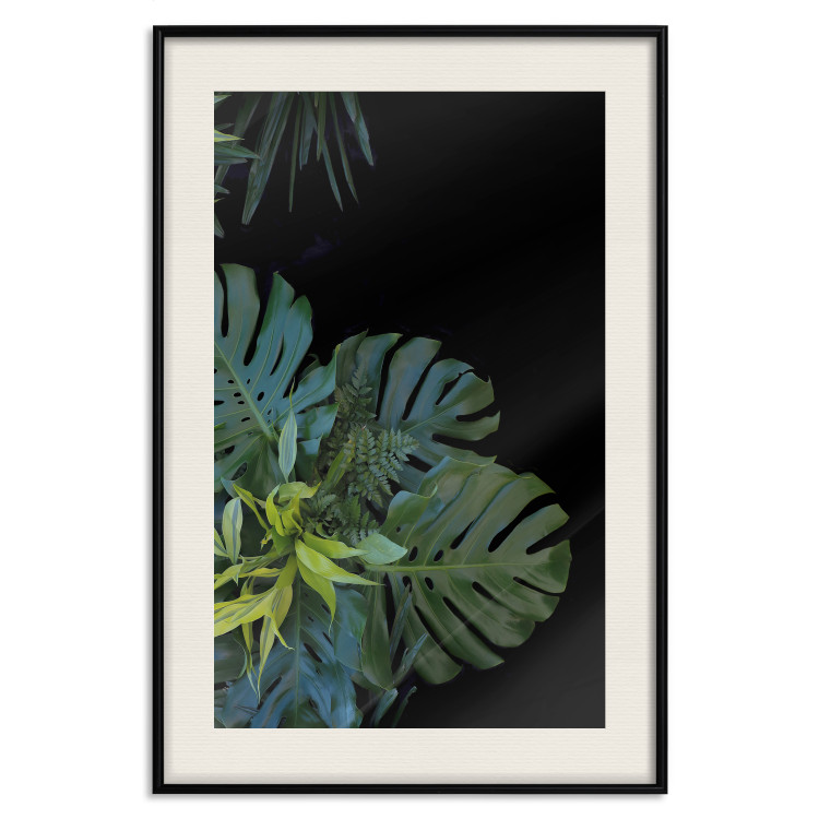 Wall Poster Monstera - Botanical composition of tropical leaves on a black background 114197 additionalImage 26