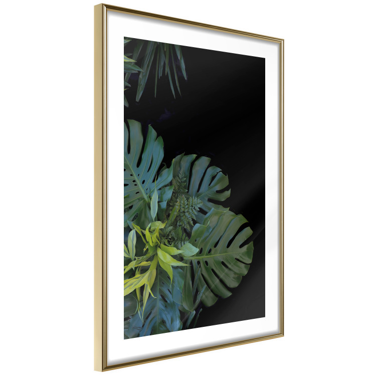 Wall Poster Monstera - Botanical composition of tropical leaves on a black background 114197 additionalImage 7